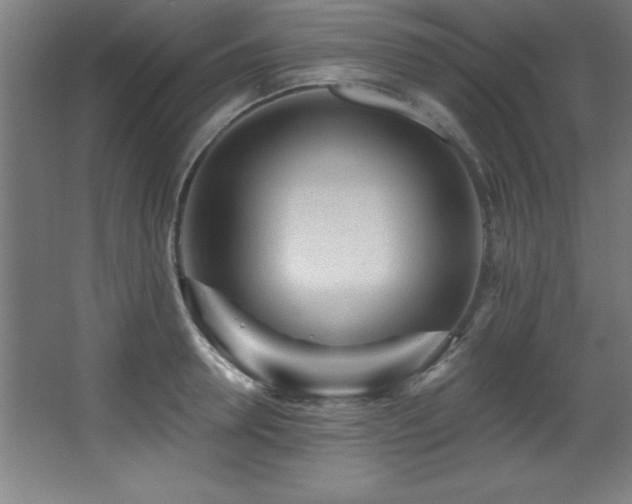 X0000068290946200604211133
