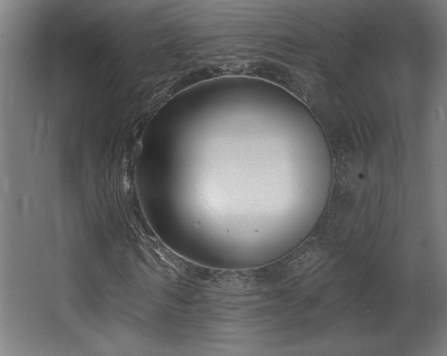 X0000068290962200604211133