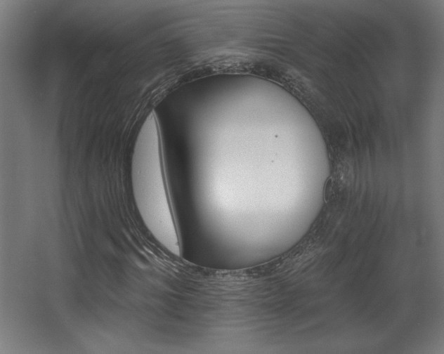 X0000068290964200604211133