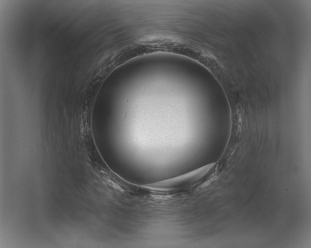 X0000068290965200604211133