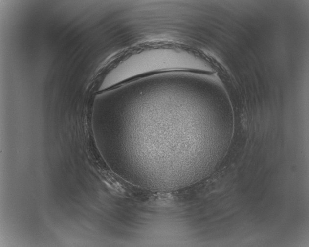 X0000068290968200604211133