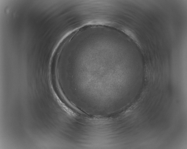 X0000068290976200604211132