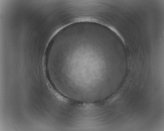 X0000068290983200604211132