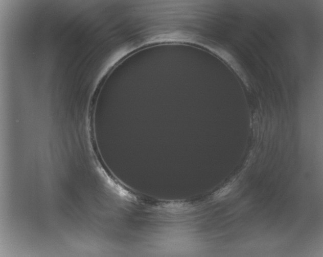 X0000068290998200604211132