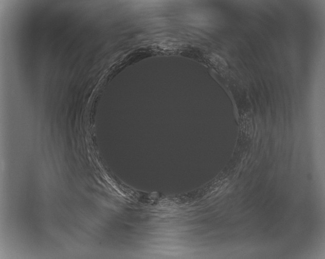X0000068291009200604211131