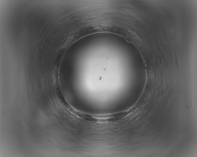 X0000068291012200604211131