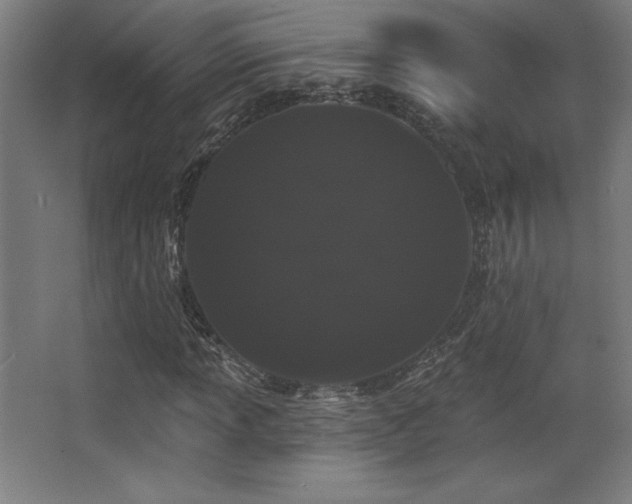 X0000068291013200604211131