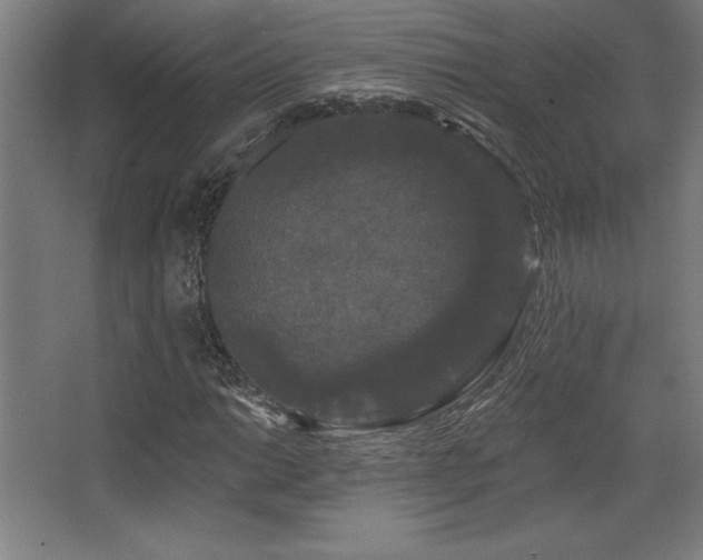 X0000068291014200604211131