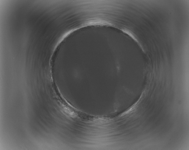 X0000068291022200604211131