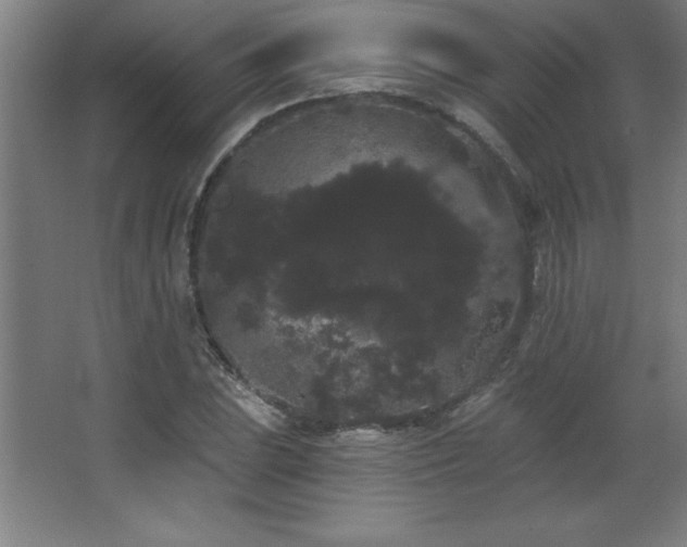 X0000068291023200604211131