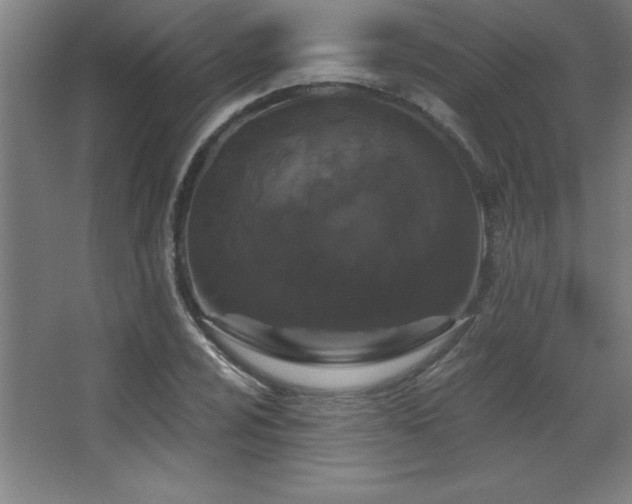 X0000068291024200604211131