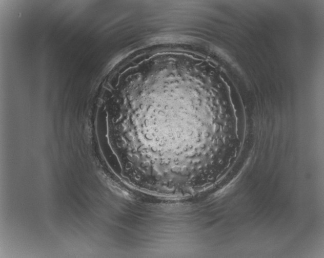 X0000068291025200604211131