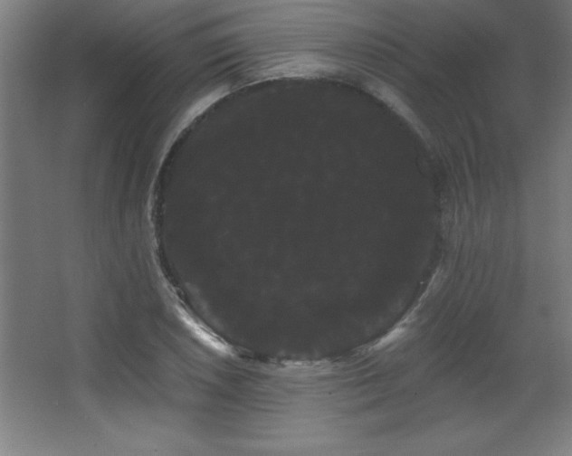 X0000068291026200604211131