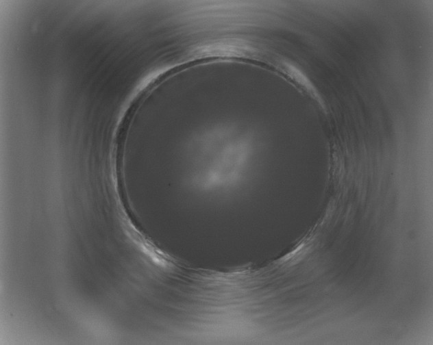 X0000068291035200604211132