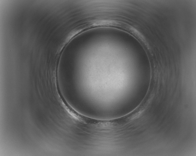 X0000068291041200604211132