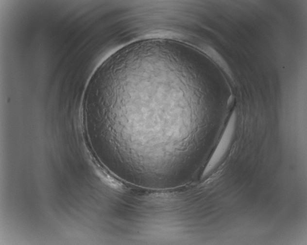 X0000068291044200604211132