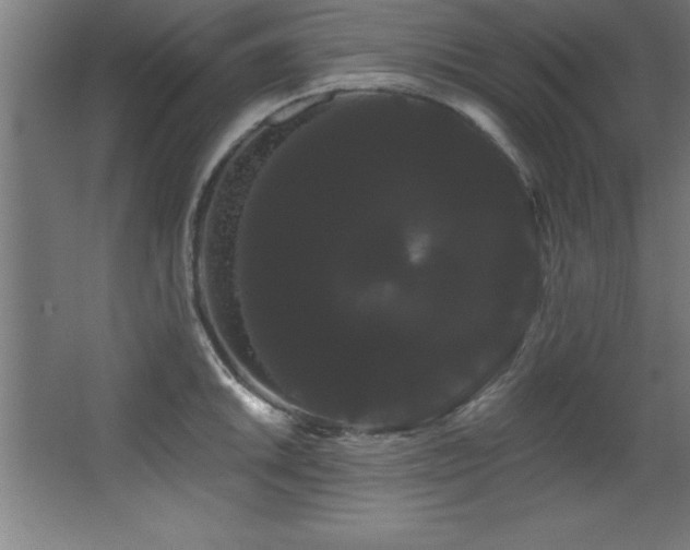 X0000068291046200604211132