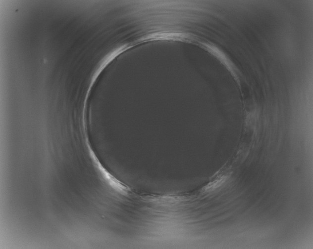 X0000068291050200604211132