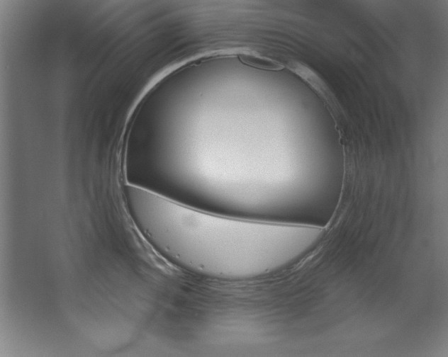 X0000068291052200604211132