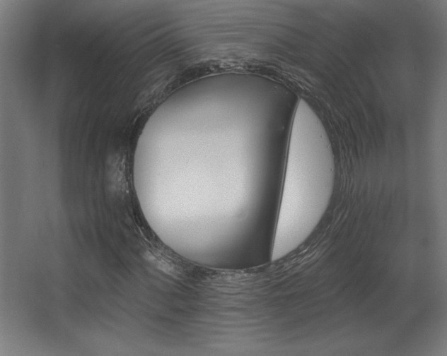 X0000068291060200604211131