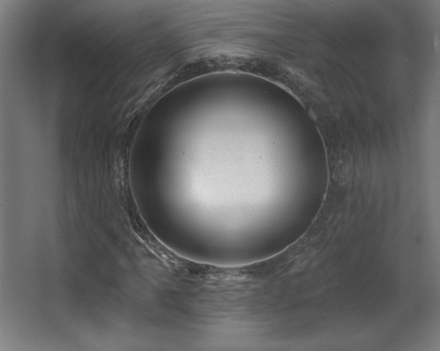 X0000068291061200604211131