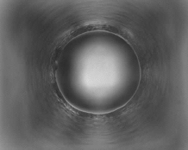X0000068291062200604211131