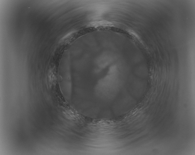 X0000068291063200604211131
