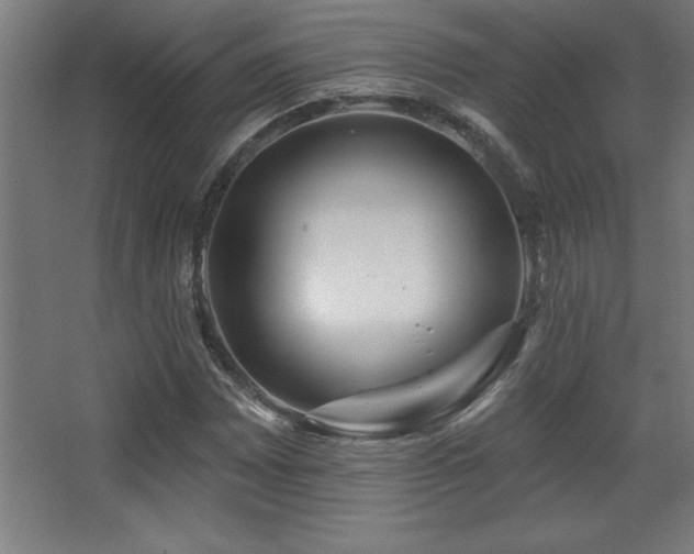 X0000068291065200604211131