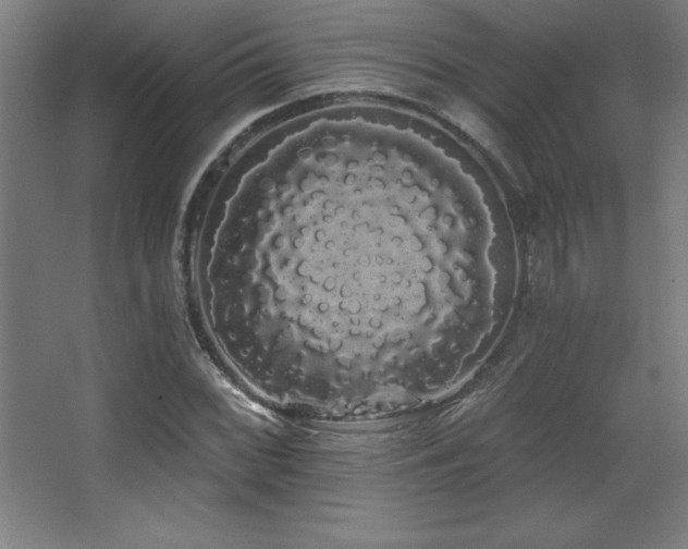 X0000068291068200604211131