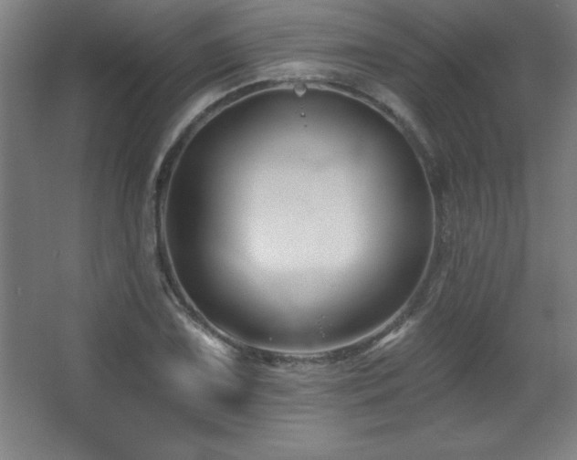X0000068291075200604211131