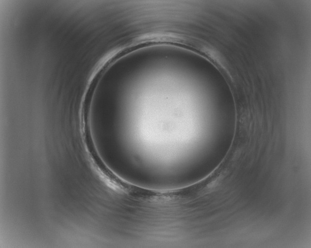 X0000068291082200604211131