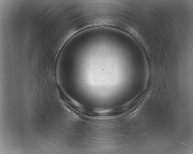 X0000068291089200604211131