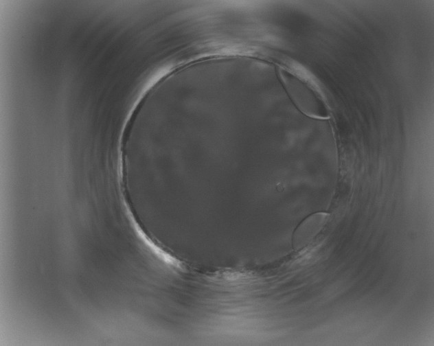 X0000068291095200604211130