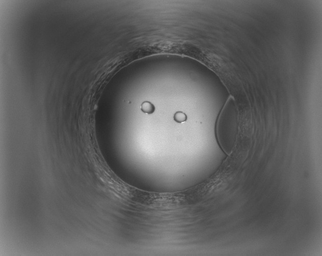 X0000068291105200604211130