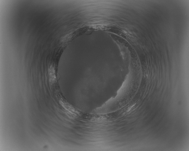 X0000068291106200604211130