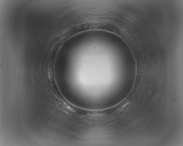X0000068291109200604211130
