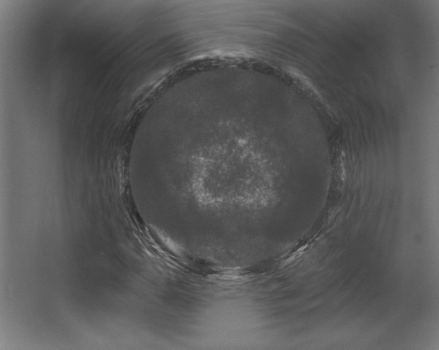 X0000068291110200604211130