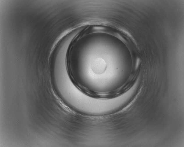 X0000068291114200604211130