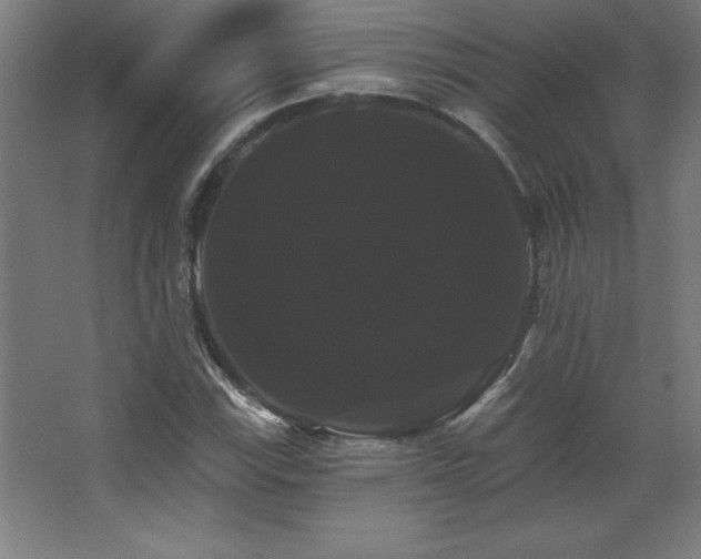 X0000068291115200604211130