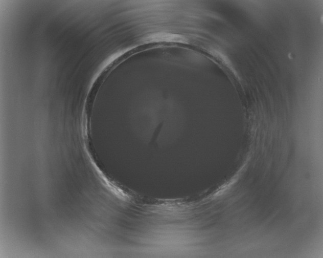 X0000068291125200604211130