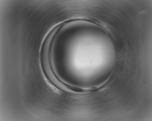 X0000068291132200604211130
