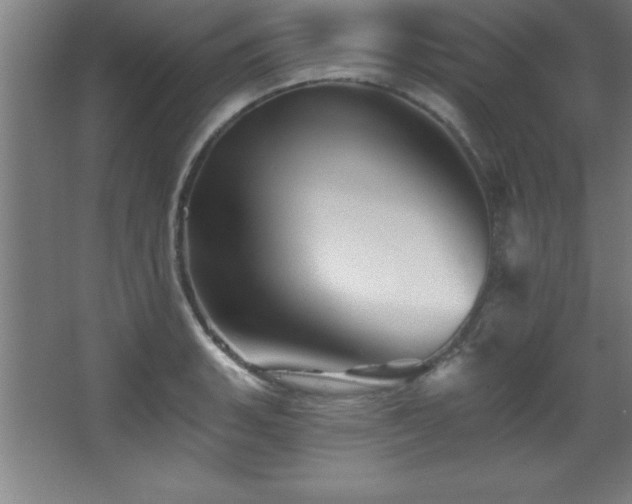 X0000068291135200604211130