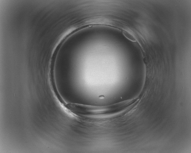 X0000068291139200604211130