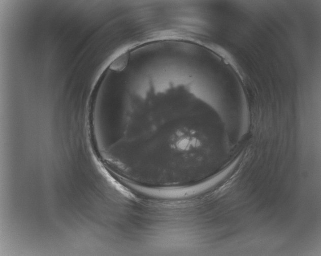 X0000068291142200604211130