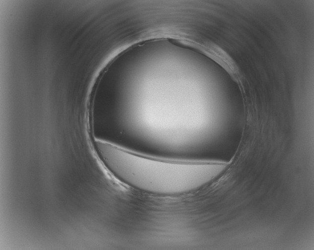 X0000068291144200604211130