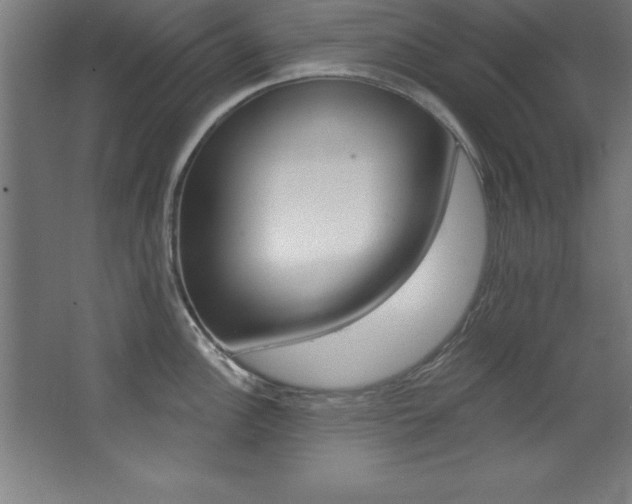 X0000068291148200604211130