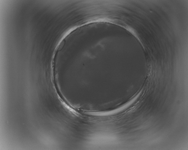 X0000068291151200604211130