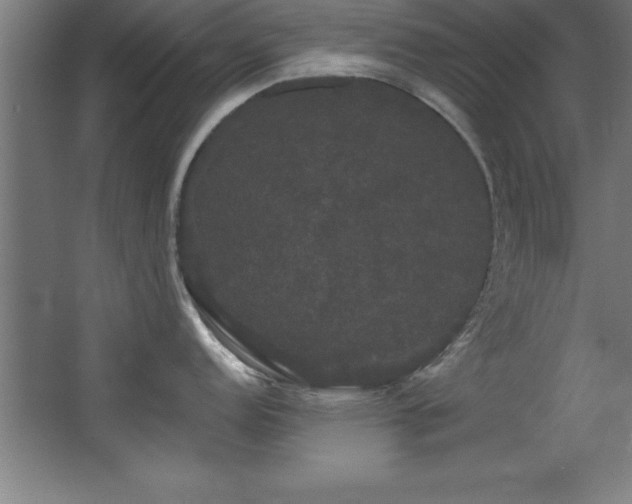 X0000068291152200604211130