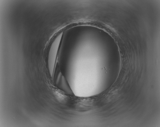 X0000068291160200604211129