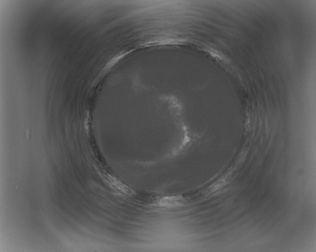 X0000068291161200604211129